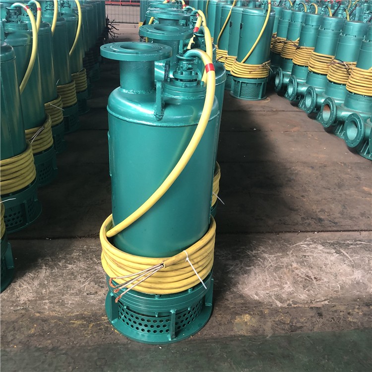 防爆潜水泵